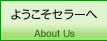 �褦�������顼��
